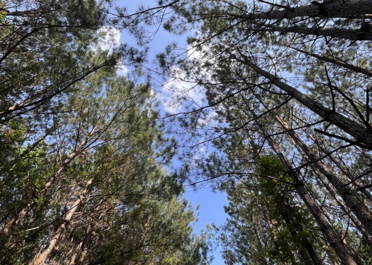 Raising The Bar On Natural Capital Investing