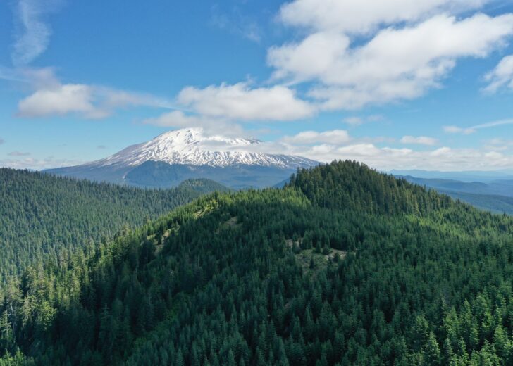 FIA Joins International Sustainable Forestry Coalition