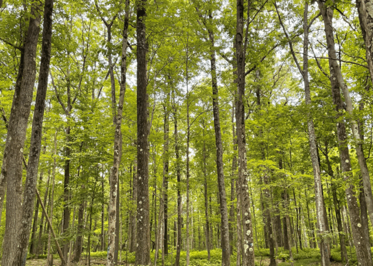 FIA’s 2024 Sustainability Report Highlights