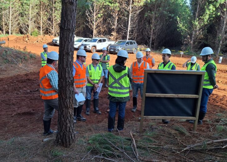 Women in Forestry: Leadership, Stewardship, and the Future of Forest Management
