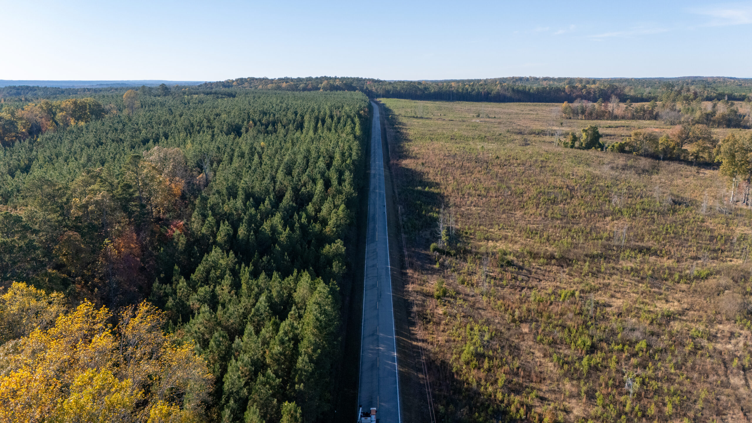 Forest Investment Associates Achieves 100% Employee Ownership